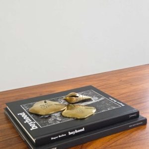 Brass Seashell Paperweights