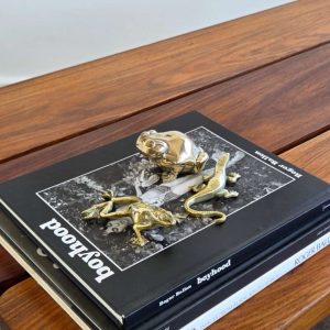 Brass Frogs & Lizard